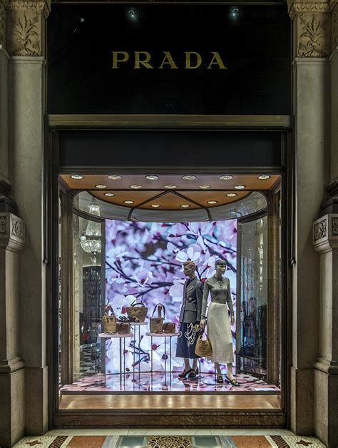 thomas demand Prada windows